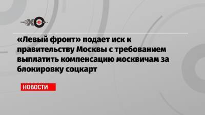«Левый фронт» подает иск к правительству Москвы с требованием выплатить компенсацию москвичам за блокировку соцкарт
