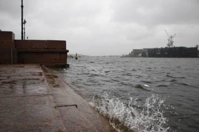 МЧС Петербурга объявило штормовое предупреждение в субботу