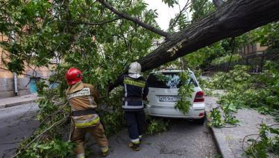 Спасатели объявили штормовое предупреждение в Петербурге