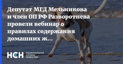 Депутат МГД Мельникова и член ОП РФ Разворотнева провели вебинар о правилах содержания домашних животных