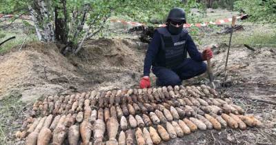 В Донецкой области в лесу нашли почти полтысячи старых боеприпасов