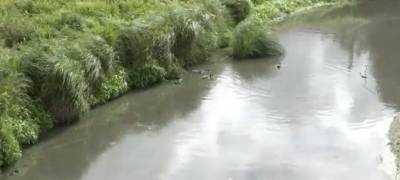 Жители деревень Олонецкого района пожаловалось на загрязнение реки местным предприятием
