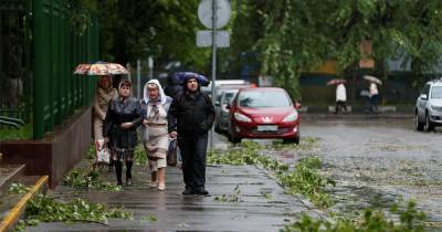 Москвичей призвали не ставить машины под деревьями из-за грозы и ветра