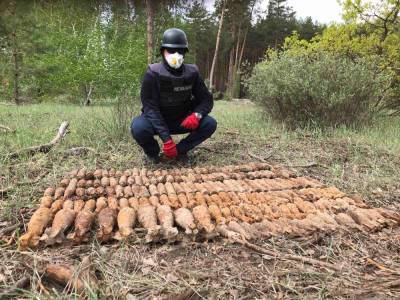 За три дня раскопок в лесу на Донетчине нашли почти полтысячи снарядов Второй мировой