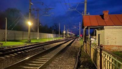 Пассажирский поезд насмерть сбил девочку в Новгородской области