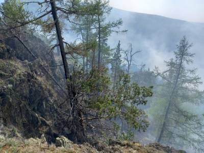 В одном из районов Башкирии бушуют пожары в лесах