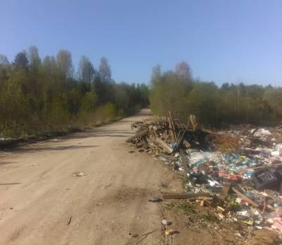 В Фировском районе Тверской области на дороге устроили свалку