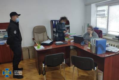 СБУ разоблачила экс-начальницу Госгеокадастра в Закарпатской области на махинациях с землей
