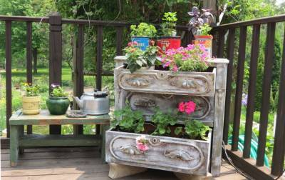 Тверской Ботанический сад ищет старую мебель и посуду для выставки «Бабушкины окна»