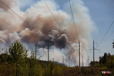 В России вспыхнули масштабные лесные пожары: огонь охватил десятки тысяч гектаров