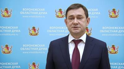 Председатель Воронежской облдумы заработал на 3 млн больше губернатора