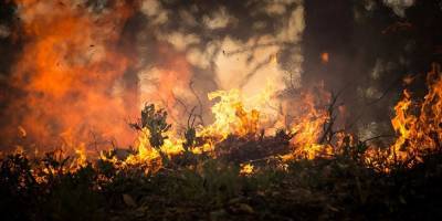 Беспорядки и пожары в Иудее и Самарии. Минздрав ПА сообщает о погибших