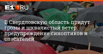 В Свердловскую область придут грозы и шквалистый ветер: предупреждение синоптиков и спасателей
