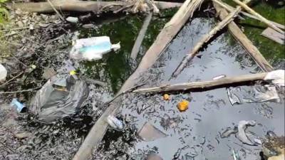 «Периодически бурлит» — жители Днепра обнаружили возле жилмассива токсичный мусор
