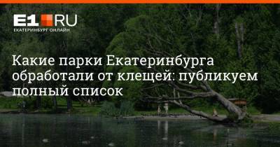 Какие парки Екатеринбурга обработали от клещей: публикуем полный список