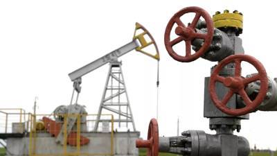 В Минприроды уточнили масштабы разлива нефти в ЯНАО