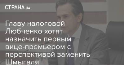 Главу налоговой Любченко хотят назначить первым вице-премьером с перспективой заменить Шмыгаля