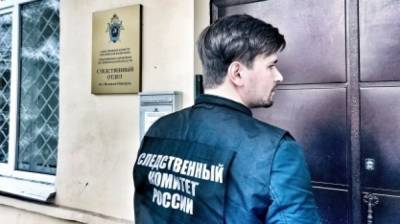 СК подтвердил задержание предполагаемого убийцы школьницы в Нижегородской области