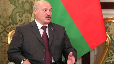Белорусский фермер показал Лукашенко свою телочку