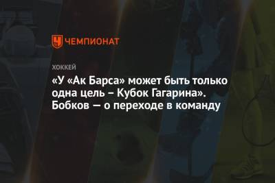 «У «Ак Барса» может быть только одна цель – Кубок Гагарина». Бобков — о переходе в команду