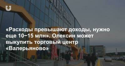«Расходы превышают доходы, нужно еще 10−15 млн». Олексин может выкупить торговый центр «Валерьяново»