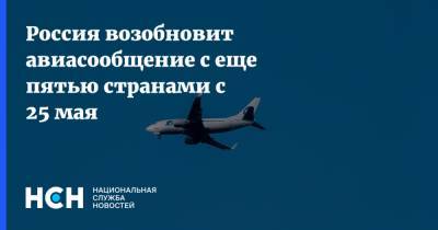 Россия возобновит авиасообщение с еще пятью странами с 25 мая