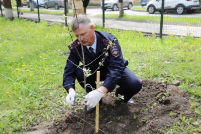 Яблоневый сад высадил в Пскове начальник городской ГИБДД Владимир Папорт