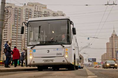 В Петербурге спроектируют автопарк для электробусов за 200 млн