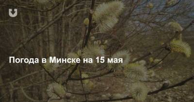 Погода в Минске на 15 мая