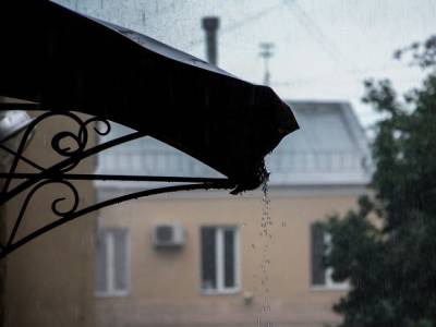 В Петербурге ожидаются ливни и грозы
