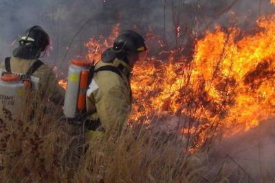 В Красноярском крае за сутки успешно ликвидировали 32 лесных пожара