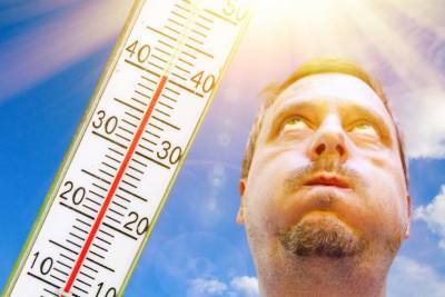 Жителей Удмуртии вновь предупреждают об аномальной жаре