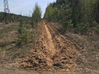 Защитные противопожарные полосы проложили в нижегородских лесах