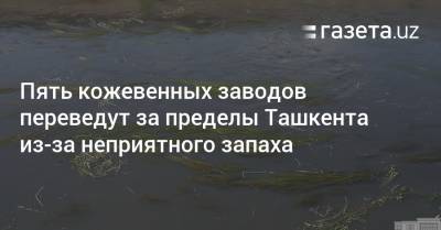 Пять кожевенных заводов переведут за пределы Ташкента из-за неприятного запаха