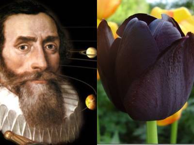 День в истории: 15 мая - Черный тюльпан и законы Кеплера