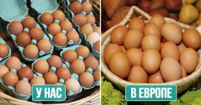 Почему наши хозяйки ищут отборные яйца, а европейские — «куриный горох»