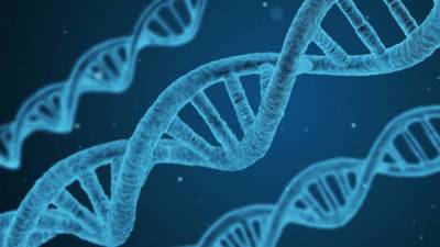Коронавирус оказался способен встраиваться в ДНК зараженных людей