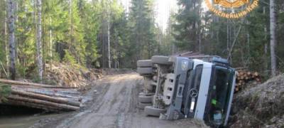 Лесовоз перевернулся на дороге в Карелии, пострадал водитель (ФОТО)