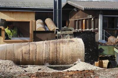 В России обнаружилась нехватка древесины для постройки домом
