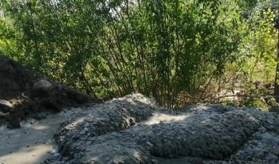 В районе ДОКа тюменцы сами садят деревья и требуют от управы убрать мусор