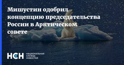 Мишустин одобрил концепцию председательства России в Арктическом совете