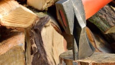Россия столкнулась с дефицитом древесины для строительства домов