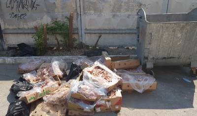 В Тюмени около контейнерной площадки на Комсомольской решили утилизировать биоотходы