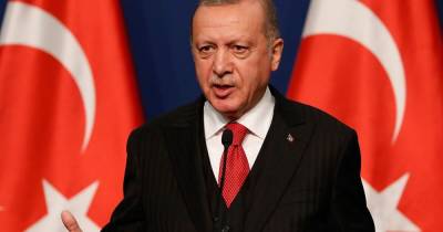 Эрдоган назвал Израиль "террористическим государством" и потребовал действий от Совбеза ООН