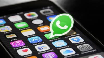 Новую политику конфиденциальности WhatsApp в Госдуме сочли неэтичной и незаконной