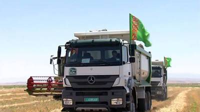 Бердымухамедов разрешил арендовать частные грузовики для доставки пшеницы к складам