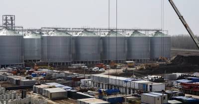 «Россети» обеспечат электроэнергией один из крупнейших в Европе заводов по переработке семян подсолнечника