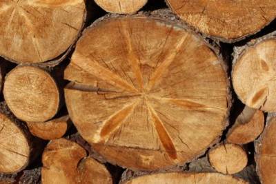 В России наблюдается дефицит древесины для строительства деревянных домов