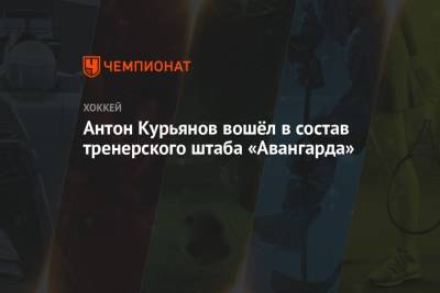 Антон Курьянов вошёл в состав тренерского штаба «Авангарда»