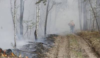 Загорелся лес около озера Андреевского в Тюменском районе